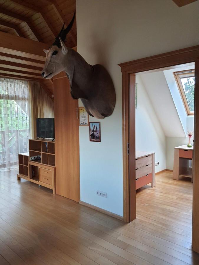 Apartamentai Hunter House ดรูซกินินไก ภายนอก รูปภาพ